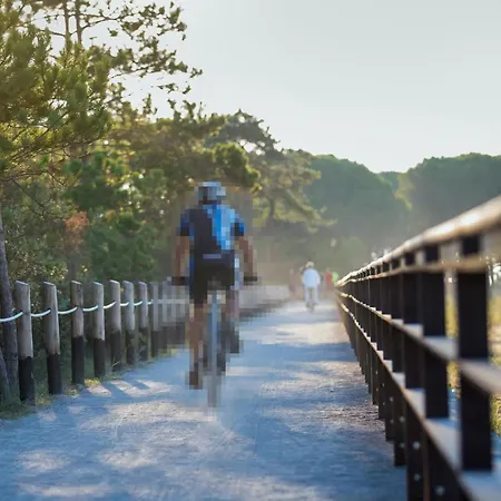 Daire 1 Bedroom Lovely In